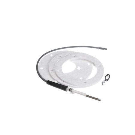 State Water Heater Spark Igniter Assembly, #100271888 100271888